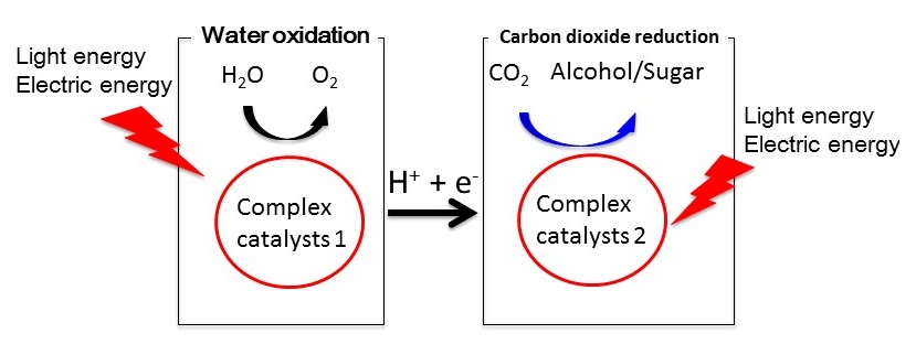 Figure 2: Water oxidation and carbon dioxide reduction using complex catalysts