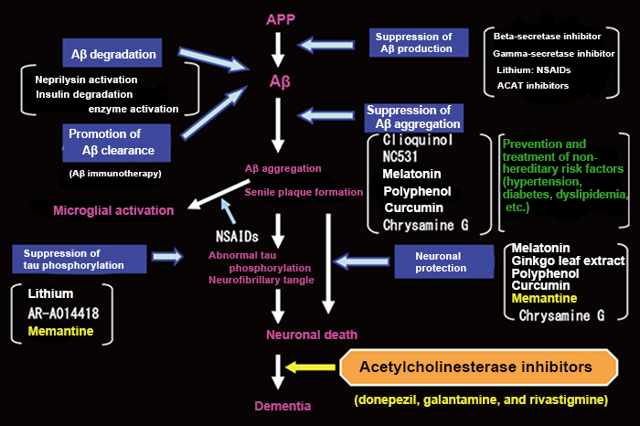 Figure 2: Amyloid cascade hypothesis and treatment strategy for Alzheimer's disease