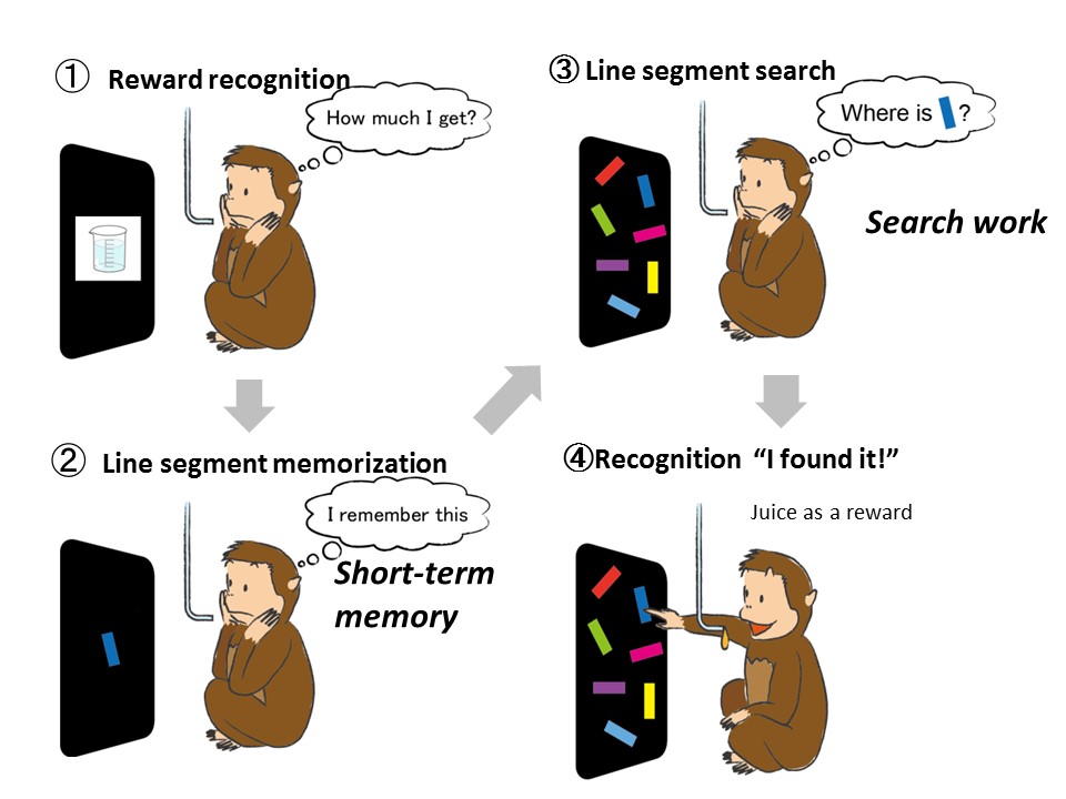 Fig. 1 The visual search task given to monkeys