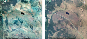 図1：釧路湿原高層湿原地帯の国土地理院撮影航空写真 左）1977 年9 月23 日撮影、右）2011 年10 月4 日撮影