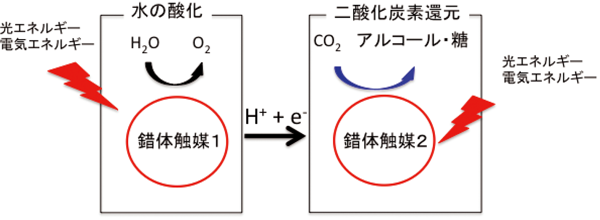 図2：錯体触媒による水の酸化と二酸化炭素の還元