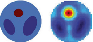 図1：体の断面に見立てた数理モデル。内臓 　　 （ 紺）と腫瘍（赤）を含む。 　　 右：逆問題の手法で推測