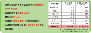 図1:第三世代のバイオマス「藻類」 に世界が注目