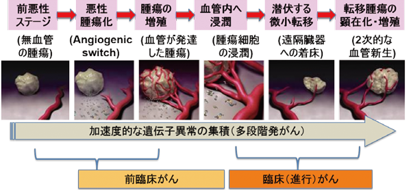 図1：がん進行の各段階